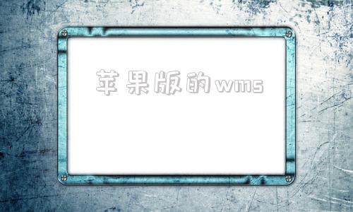 苹果版的wms的简单介绍-第1张图片-太平洋在线下载