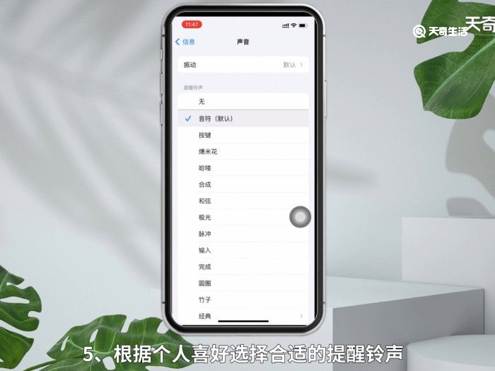 苹果版怎么没有苹果的appstore没有了怎么办