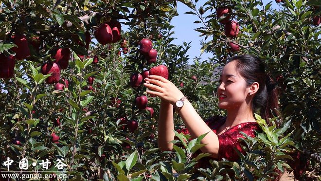 小康在家苹果版小苹果app电脑版-第1张图片-太平洋在线下载