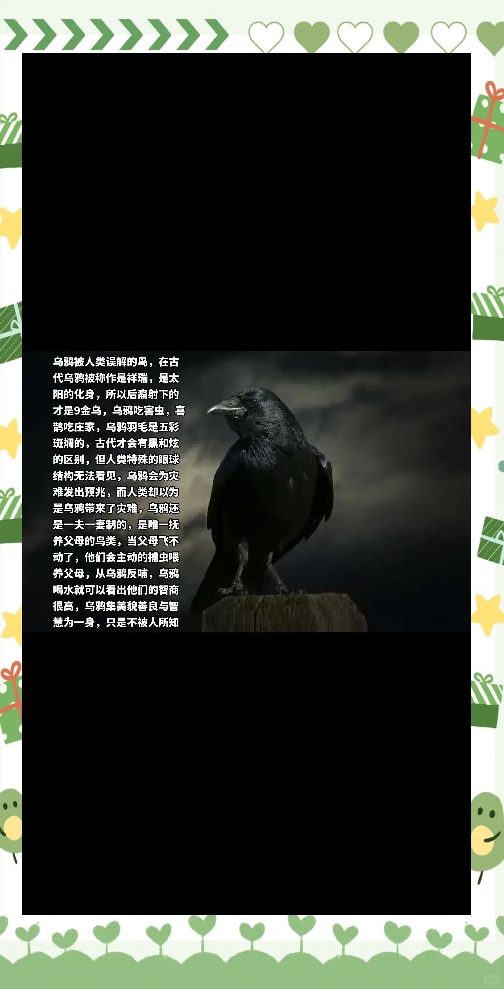 乌鸦安卓版乌鸦森林之谜1安卓版下载-第2张图片-太平洋在线下载